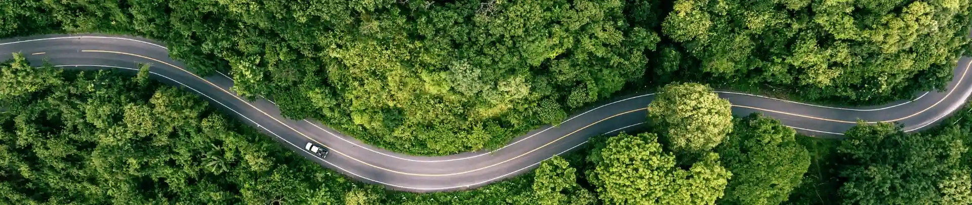 汽车尾气净化催化剂载体