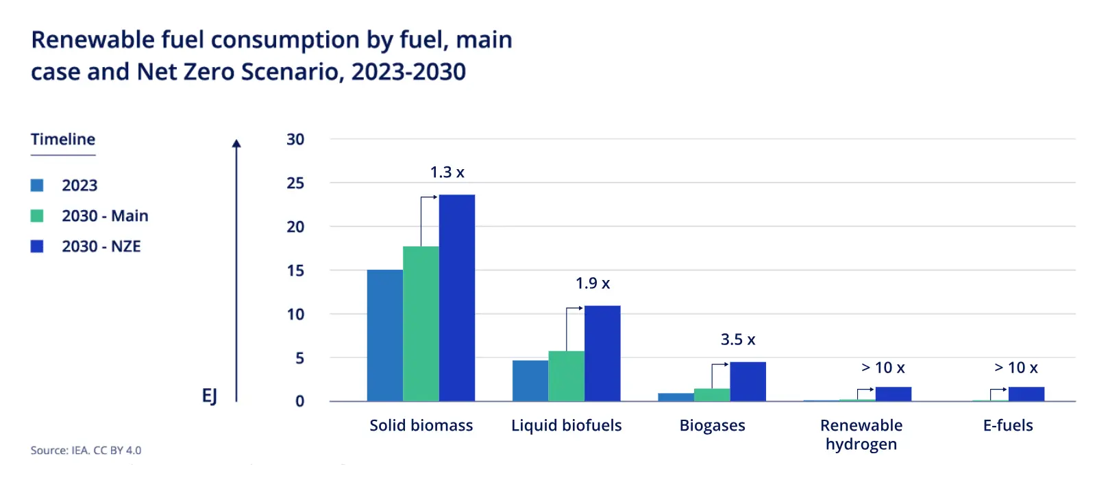 This chart illustrating that renewable fuel consumption by fuel, main case and Net Zero Scenario, 2023-2030.