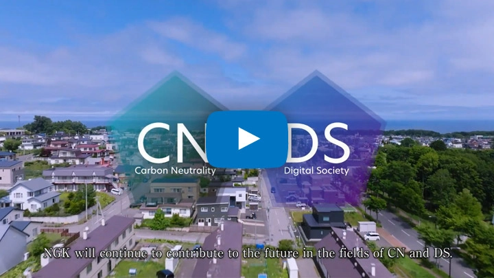 Carbon Neutrality and Digital Society