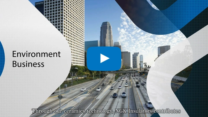 Environment Business