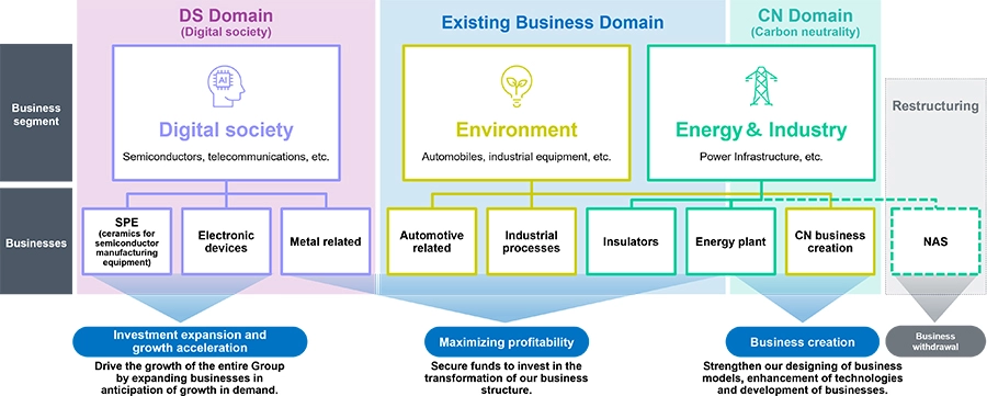 Business structure driving growth, maximizing profits, and creating new businesses across DS, existing, and CN domains.