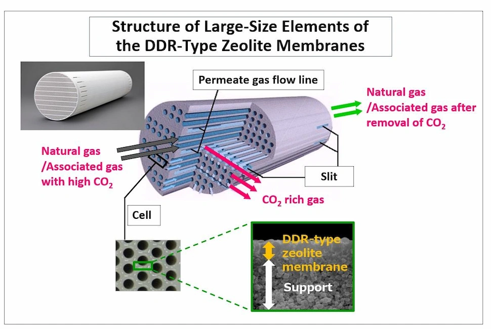 Structure of Large-Size Elements of the DDR-Type Zeolite Membranes