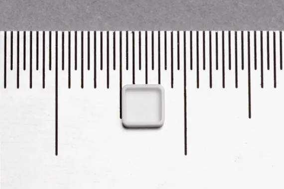 Size comparison of Ceramic Lid for Resin Sealing with a ruler