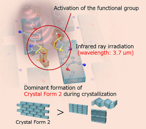 The figure shows how the crystal form is generated under the condition with infrared irradiation.