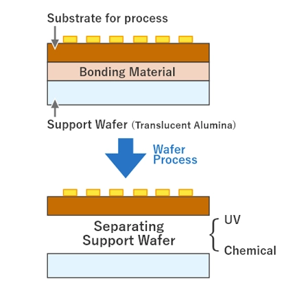 Support Wafer (W/ or w/o Through Vias)