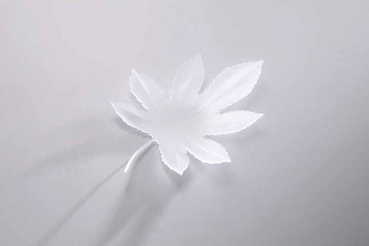 Sample of a molded product using translucent alumina (Al<sub>2</sub>O<sub>3</sub>)