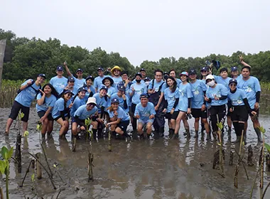A photo of mangrove planting by NGK CERAMICS (ACT)